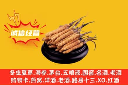 灞桥区回收冬虫夏草
